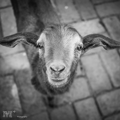 20150404-P1080678