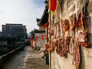 20170127-P1130421