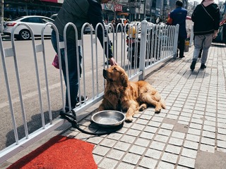 20170319-P1020373-编辑