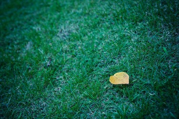 DSC_6699.jpg