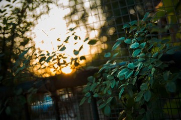 20130628-DSC_5662.jpg