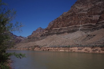 IMGP1185.jpg