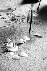 0404
