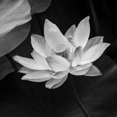 0505