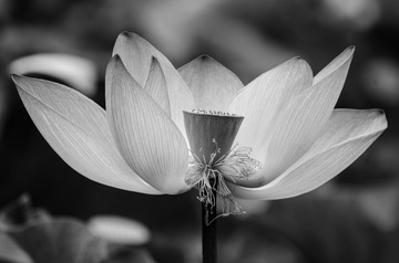 0808