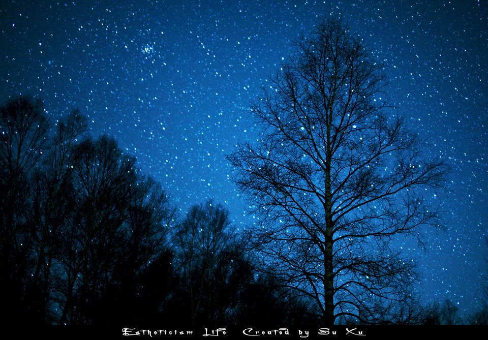 有染梦境,有染呓语,那些真实与虚幻,微妙的感觉会让你不由自主,这一刻