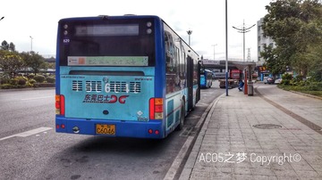 4426162