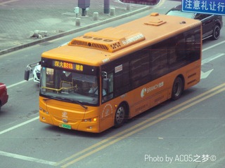 4353031