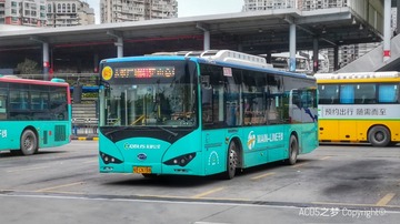4417629