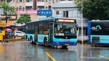 4239071