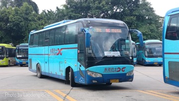 4239075