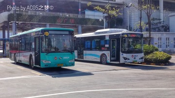 4353075