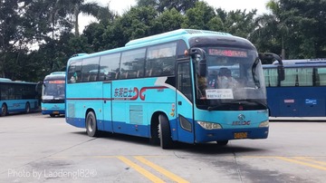 4239073