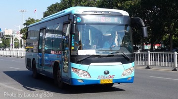 4239069