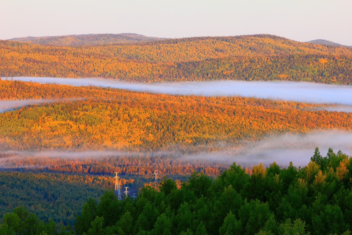 秋天的大兴安岭