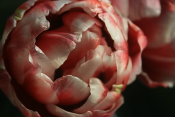 79FBC955-2AB2-4153-AB8D-0364A0D39169/L0/001