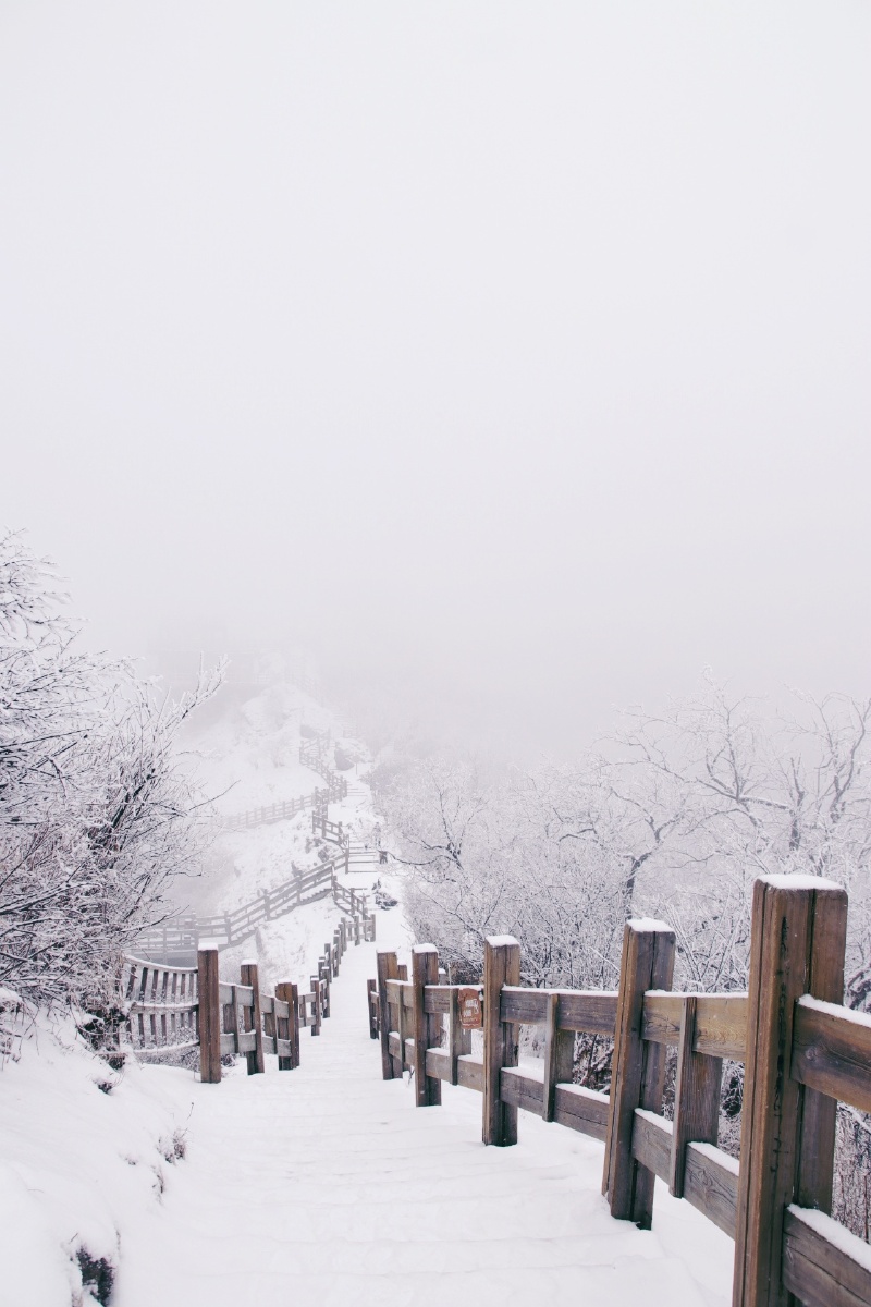 窗含西岭千秋雪