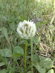20110521755