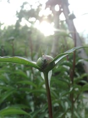 20110527891