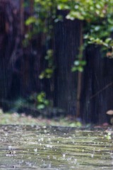 雨啊