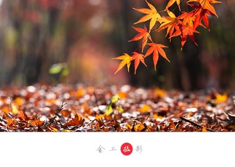 5048130