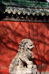 崇善寺红墙
