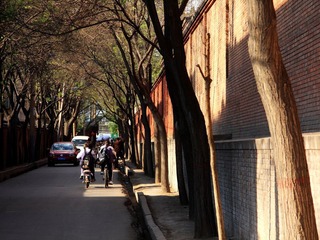 崇善寺与文庙间的小路