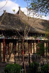 万字楼前的龙桑