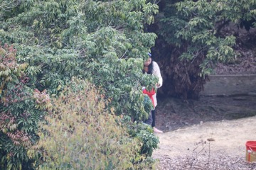 1409419