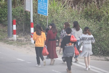 1411082