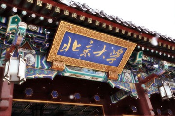 柳絮是春天的雪
