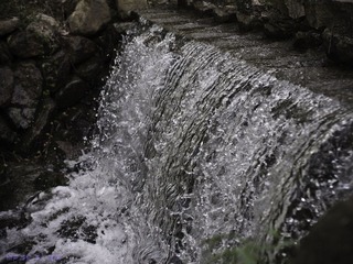 琉璃的随手拍  2012年 04月 21日(17 - 34).jpg