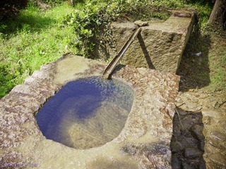 琉璃的随手拍  2012年 04月 22日(7 - 51).jpg