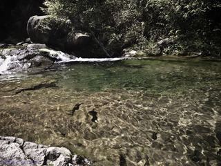 琉璃的随手拍  2012年 04月 22日(32 - 51).jpg