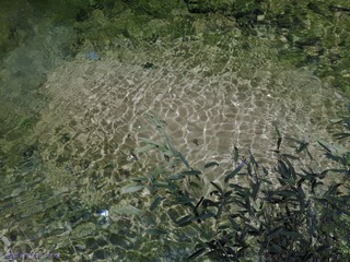 琉璃的随手拍  2012年 04月 22日(36 - 51).jpg