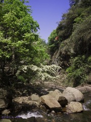 琉璃的随手拍  2012年 04月 22日(39 - 51).jpg
