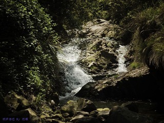琉璃的随手拍  2012年 04月 22日(42 - 51).jpg