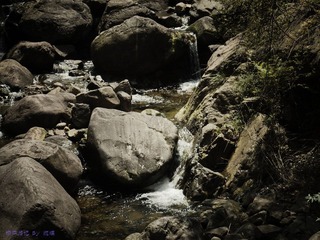琉璃的随手拍  2012年 04月 22日(43 - 51).jpg