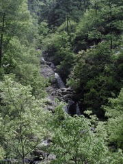 琉璃的随手拍  2012年 04月 22日(44 - 51).jpg