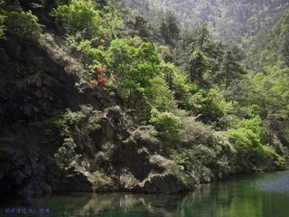 琉璃的随手拍  2012年 04月 22日(45 - 51).jpg