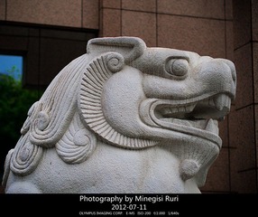 琉璃的随手拍  2012年 07月 11日(29 - 36)_副本.jpg