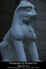 琉璃的随手拍  2012年 07月 11日(35 - 36)_副本.jpg