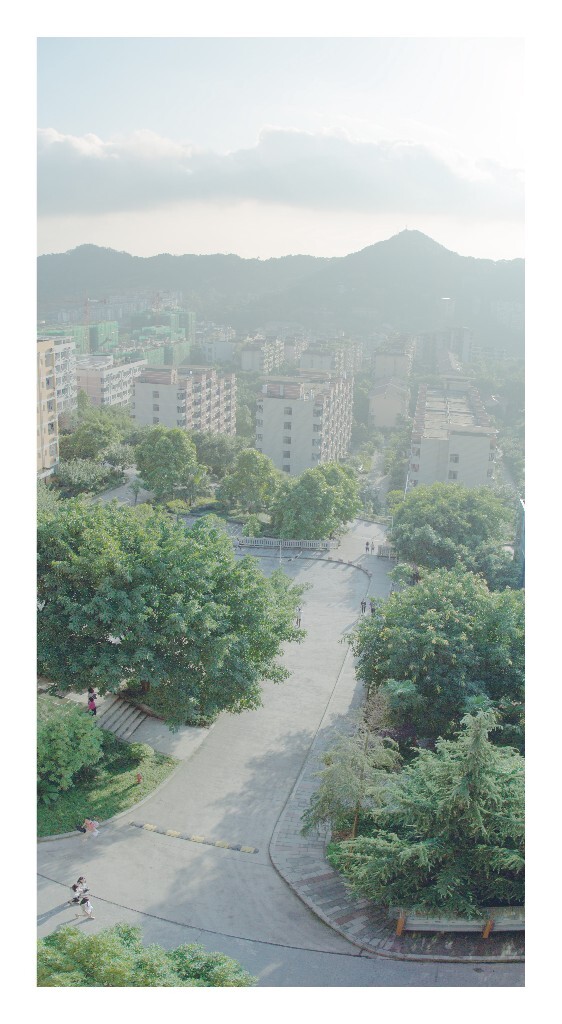 学校的夏天