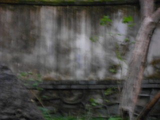 5089880