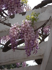 DSCN5283
