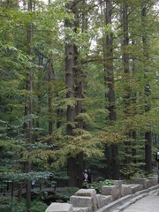 5089864