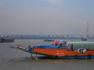 6066294