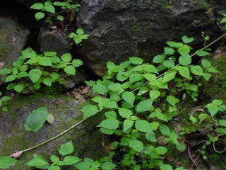 5089872