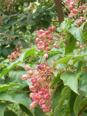 5089664