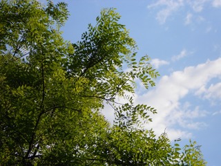 4666230